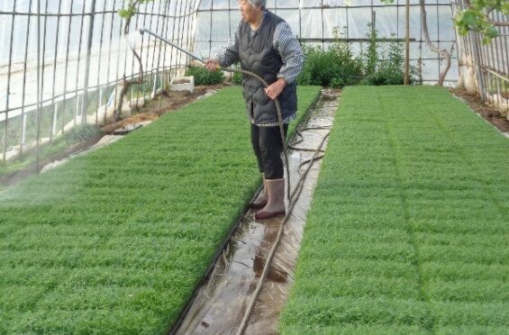 田舎だより　2025年5月号